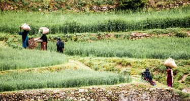 USAID raises women’s awareness about agricultural credit in Herat