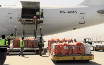 Afghanistan to export over 10 tons of goods to Almaty