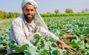SDGs Workshop on Agriculture and Natural Resources Management Held Across Afghanistan