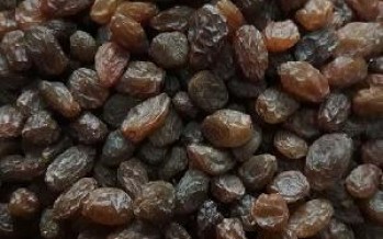 World Bank Supports Raisin Production in Afghanistan