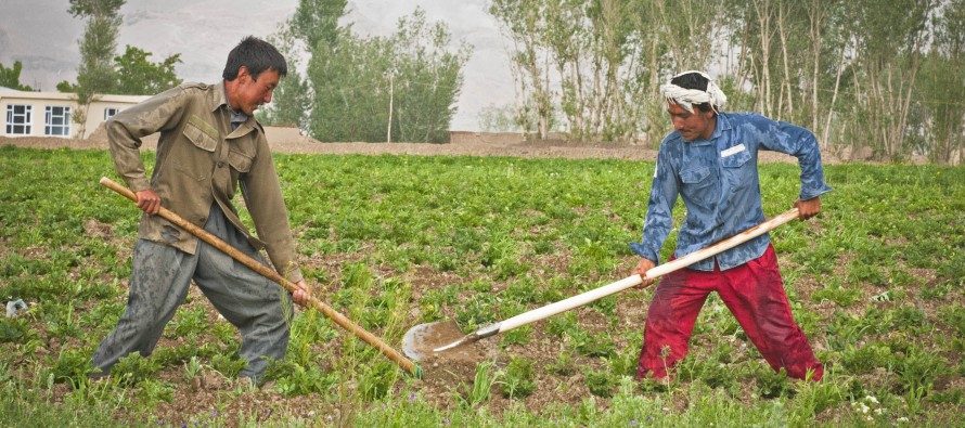 Japan Willing to Assist in Modernizing Afghanistan’s Agriculture