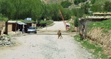 600,000 People Benefit from Road Reconstruction in Badakhshan