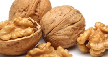 Badakhshan’s Walnut Production Down 50% Due to Climate Change