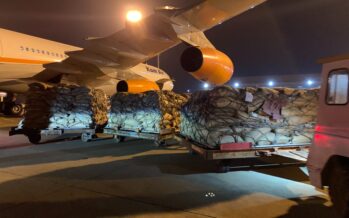Afghan Pine Nuts Exported to China Through Air Corridor
