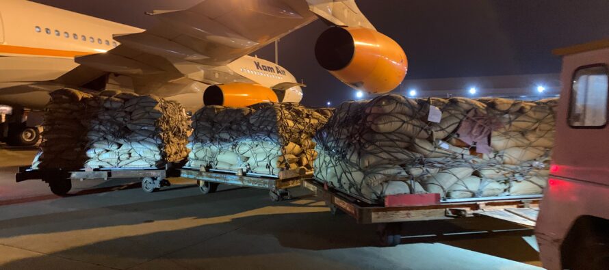 Afghan Pine Nuts Exported to China Through Air Corridor